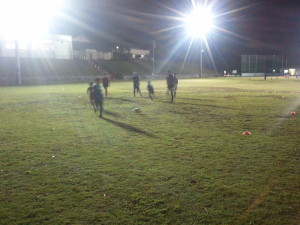 心身のバランス