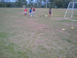 目と脳と身体がフル回転