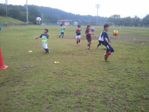 ハリー・ポッター