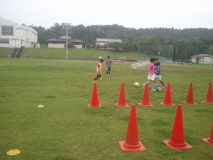 ウチのなでしこたち