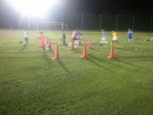 山高きが故に尊からず