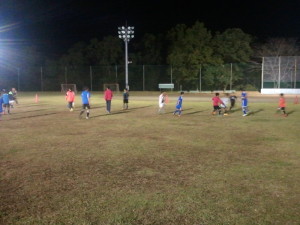 才能ある個たち