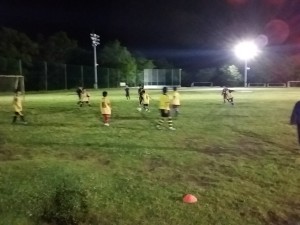 くうねるあそぶ